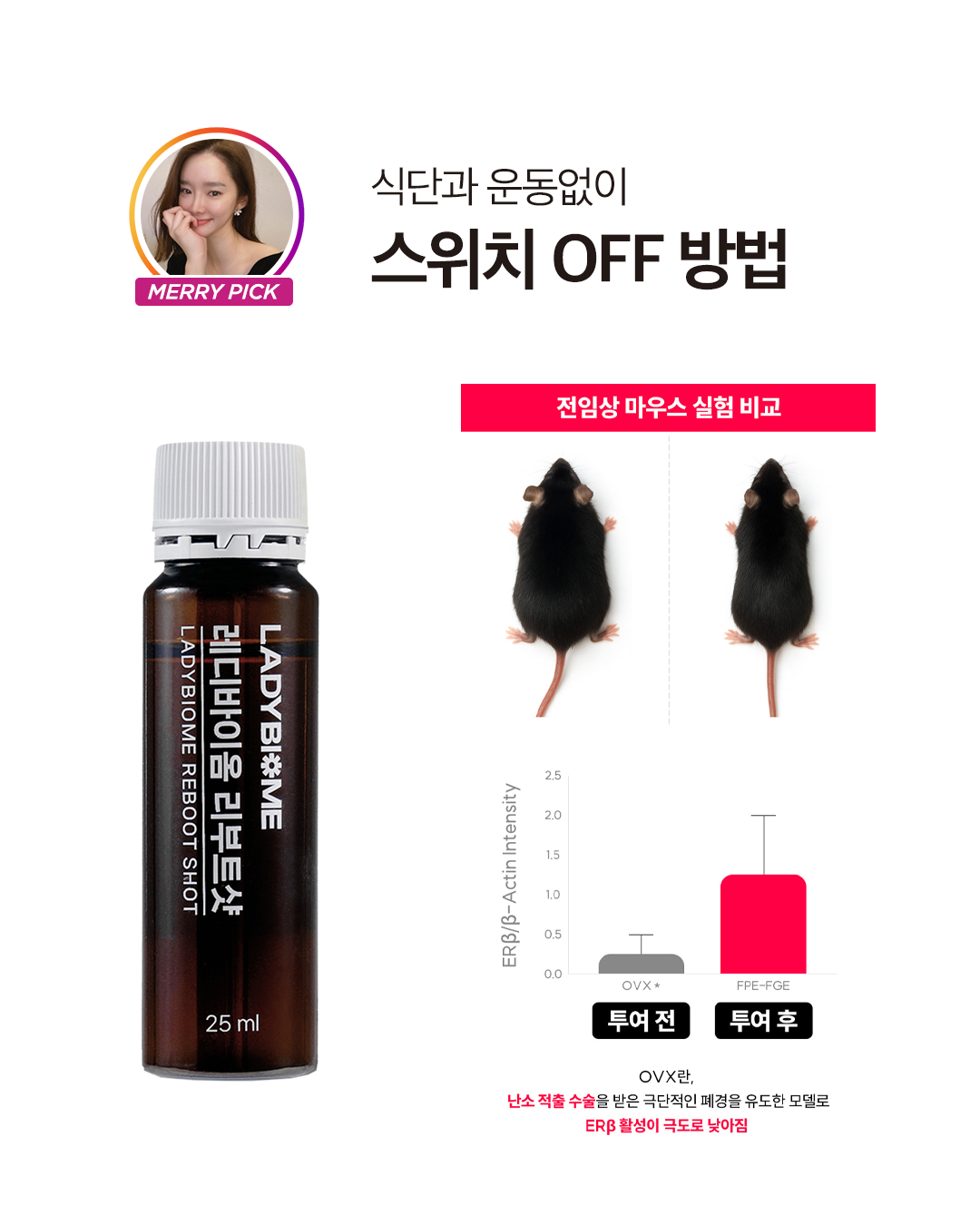 레디바이옴 6박스