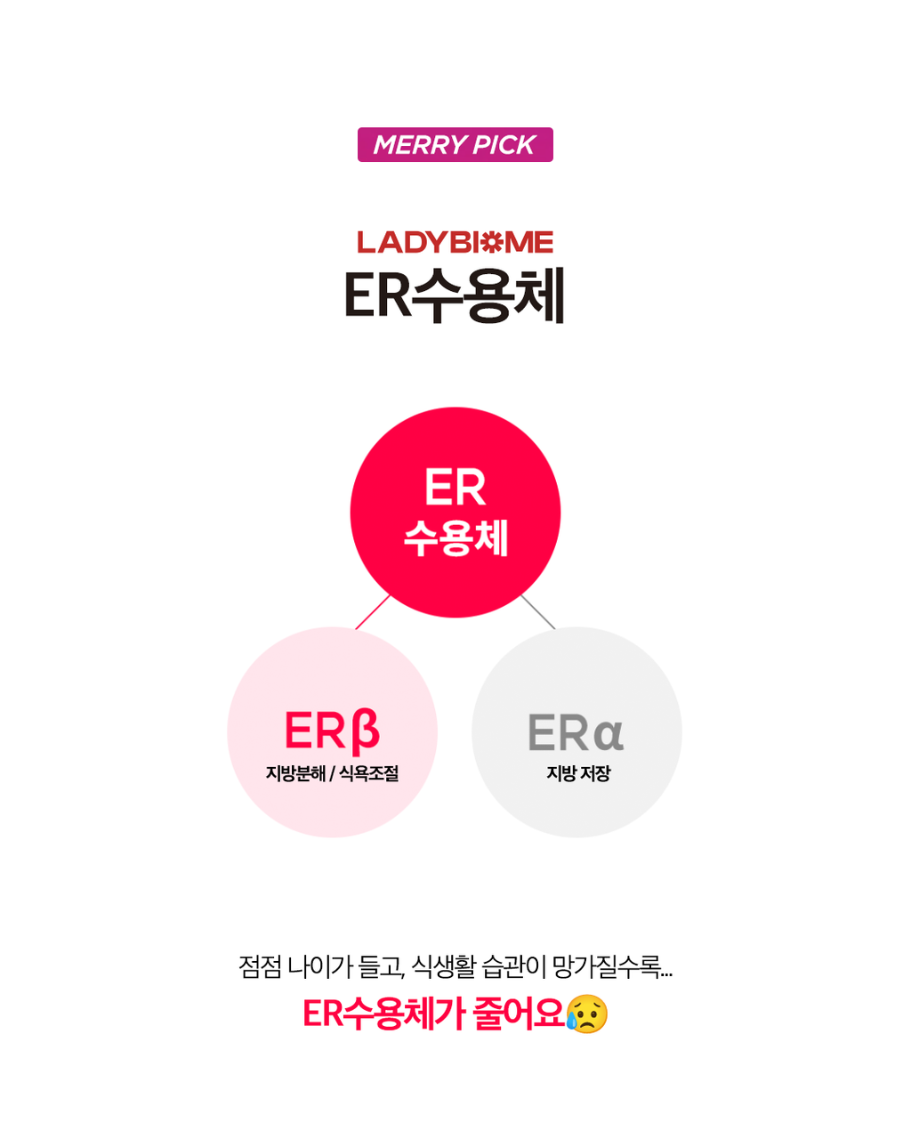 레디바이옴 6박스