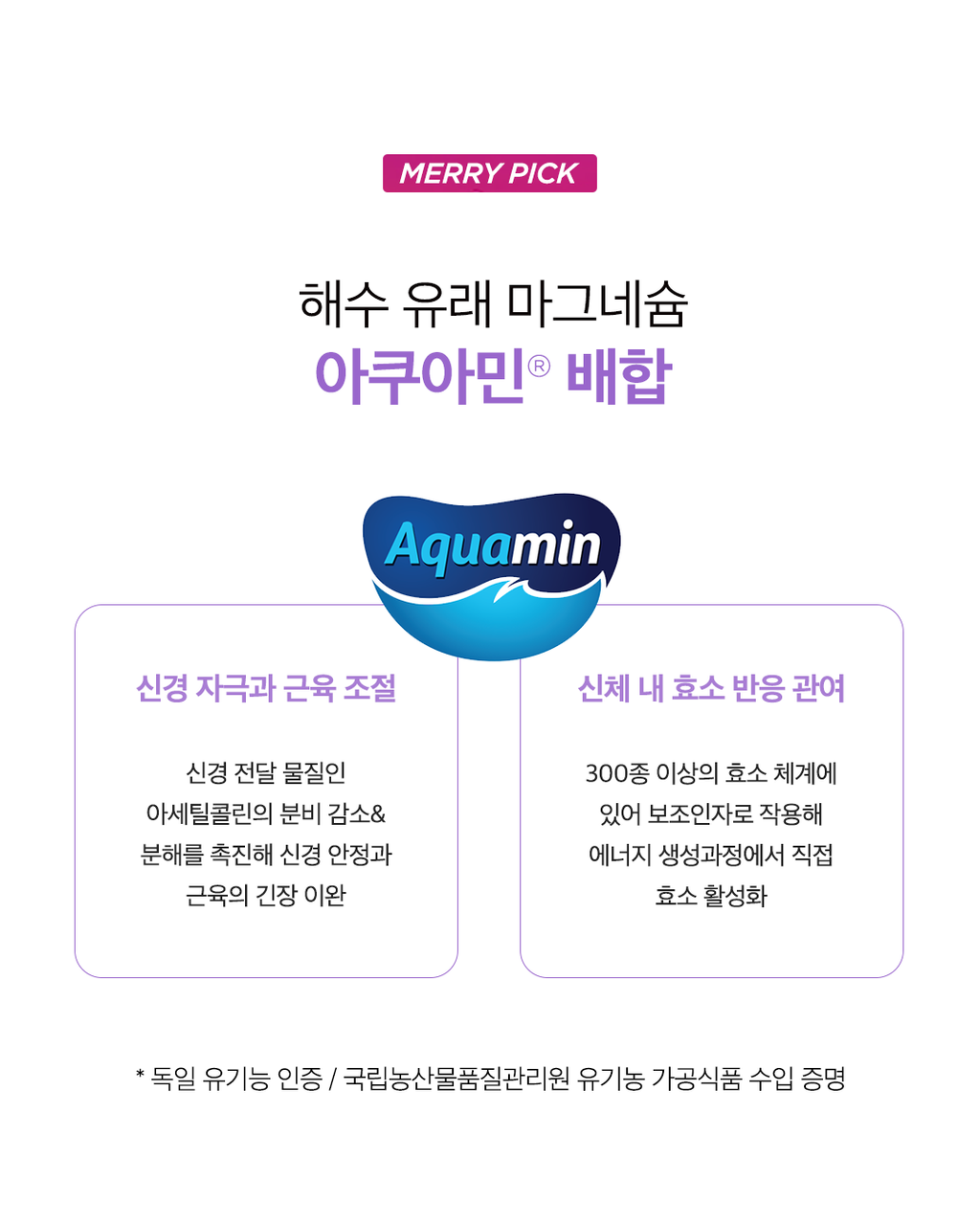 아쉬아간다 3box